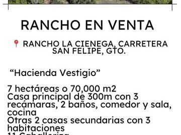 TERRENO CON RANCHO Y FINCAS EN VENTA EN SAN FELIPE, GTO
