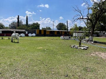 TERRENO CON RANCHO Y FINCAS EN VENTA EN SAN FELIPE, GTO