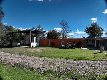 TERRENO CON RANCHO Y FINCAS EN VENTA EN SAN FELIPE, GTO