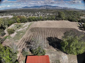 TERRENO CON RANCHO Y FINCAS EN VENTA EN SAN FELIPE, GTO
