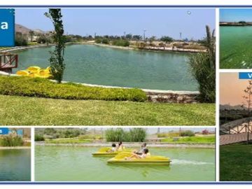VENTA DE TERRENO DE CAMPO EN ASIA
