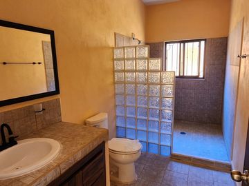 Casa Mirlo