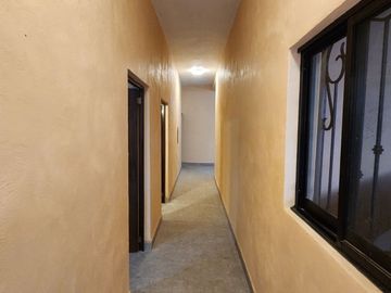 Casa Mirlo