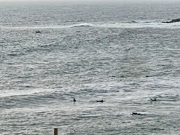 Departamento Dos Dormitorios Amoblado A Una Cuadra De La Playa Como Nuevo