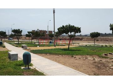 ¡Tu Próxima Inversión Está Aquí! Terreno En Pucusana