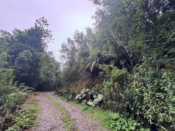 Terreno en Venta 5000M2 – Parcelación Santuario de Licarayén, Puerto Varas