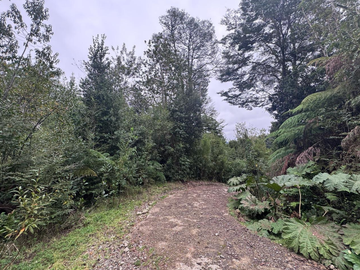 Terreno en Venta 5000M2 – Parcelación Santuario de Licarayén, Puerto Varas