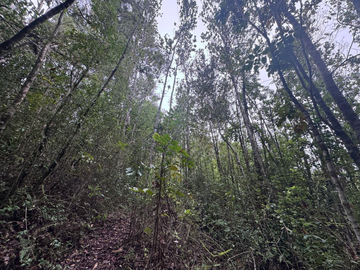 Terreno en Venta 5000M2 – Parcelación Santuario de Licarayén, Puerto Varas