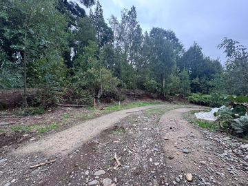 Terreno en Venta 5000M2 – Parcelación Santuario de Licarayén, Puerto Varas