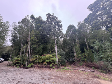 Terreno en Venta 5000M2 – Parcelación Santuario de Licarayén, Puerto Varas