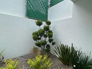 VENDO CASA HERMOSA $3,990,000 ZONA HERMANOS SERDAN, 15 DE MAYO, RANCHO COLORADO.