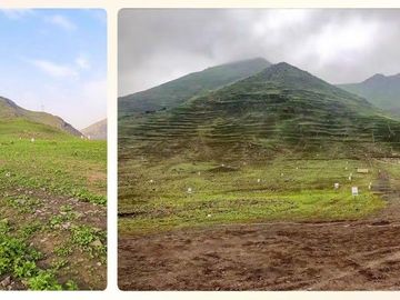 Venta de terreno de 500 m2, Pachacamac