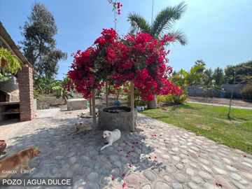 CASA DE CAMPO EN VENTA, MALA, CAÑETE, LIMA