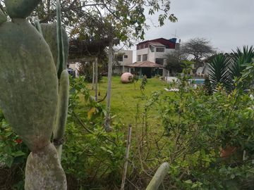 CAMINO A LUNAHUANA....CASAS, CAMPO, SOL Y PISCINA
