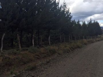 Hermosas Parcelas, Rucañanco Lonquimay,  Aldea del Pescador