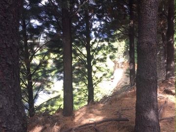 Hermosas Parcelas, Rucañanco Lonquimay,  Aldea del Pescador