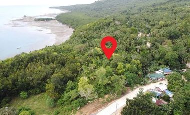 Panoramic Ocean View Land for Sale – Camotes Island, Cebu, Philippines