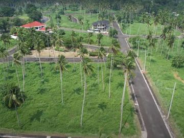 Lot for Sale in Tiaong, Quezon