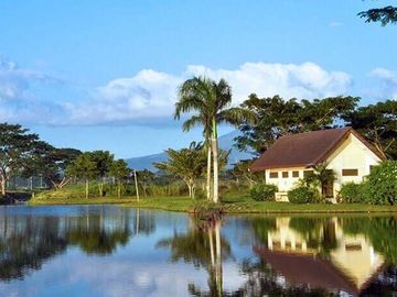Lot for Sale in Tiaong, Quezon