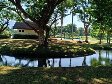Lot for Sale in Tiaong, Quezon