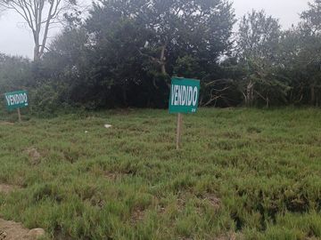 VENDO TERRENO MALA