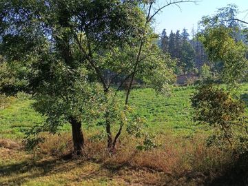 Rancho 4.8 has en venta a pie de carretera en Michoacán.