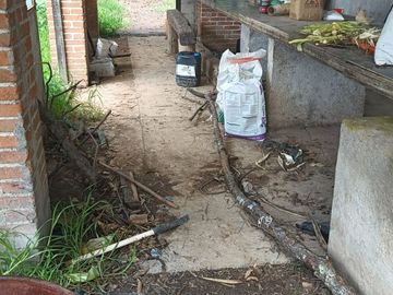 Rancho 4.8 has en venta a pie de carretera en Michoacán.