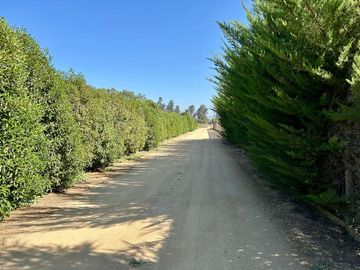 PARCELA Y CASA LIQUIDA BANCO EN CAMINO LAS FLORES EN MELIPILLA