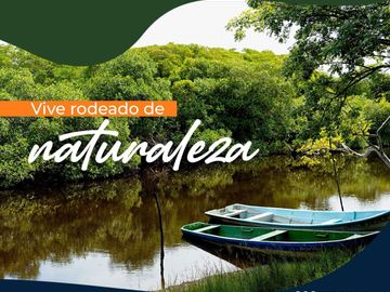 Lotes en VENTA Ubicados en Riachuelos, la zona mas exclusiva de Costa esmeralda, Municipio de Tecolutla, Ver.