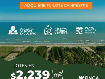 Lotes en VENTA Ubicados en Riachuelos, la zona mas exclusiva de Costa esmeralda, Municipio de Tecolutla, Ver.