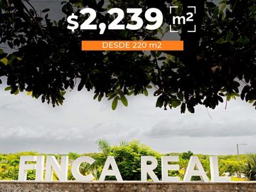 Lotes en VENTA Ubicados en Riachuelos, la zona mas exclusiva de Costa esmeralda, Municipio de Tecolutla, Ver.
