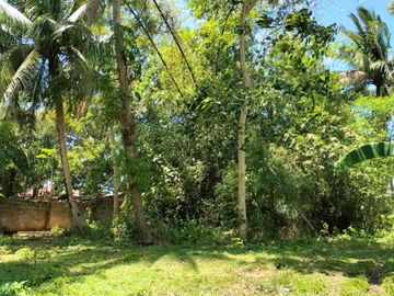 4,486 sqm lot for sale along national road in Buenavista Guimaras