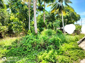 4,486 sqm lot for sale along national road in Buenavista Guimaras