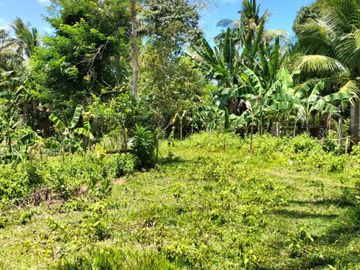 4,486 sqm lot for sale along national road in Buenavista Guimaras
