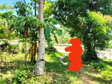 4,486 sqm lot for sale along national road in Buenavista Guimaras