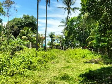 4,486 sqm lot for sale along national road in Buenavista Guimaras