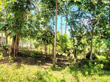 4,486 sqm lot for sale along national road in Buenavista Guimaras
