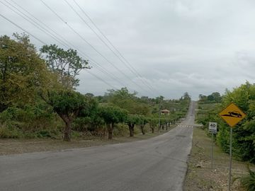 Venta de terreno en Urbanización Lomas del Bosque