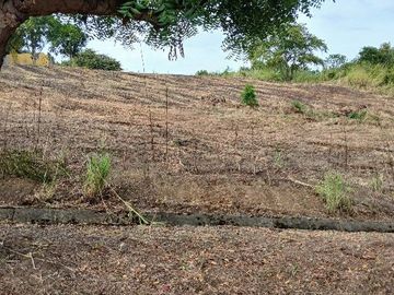 Venta de terreno en Urbanización Lomas del Bosque