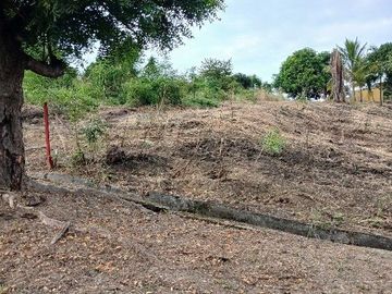 Venta de terreno en Urbanización Lomas del Bosque