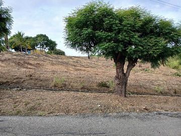 Venta de terreno en Urbanización Lomas del Bosque
