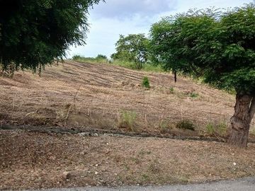 Venta de terreno en Urbanización Lomas del Bosque