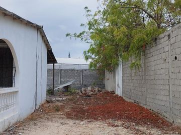 **Ballenita es mucho más que un balneario, ofrece la oportunidad de vivir con salud**
