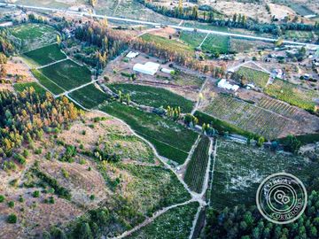 Terreno Industrial Vitivinícola llegar y Producir