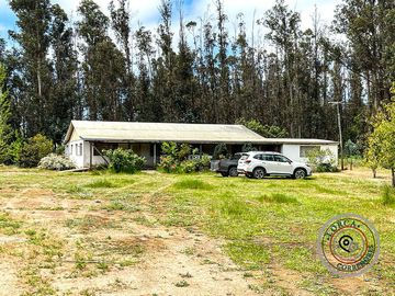 Terreno Industrial Vitivinícola llegar y Producir