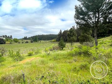 Terreno Industrial Vitivinícola llegar y Producir