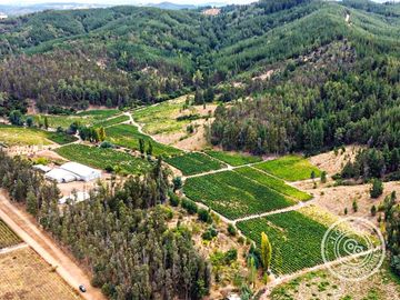 Terreno Industrial Vitivinícola llegar y Producir