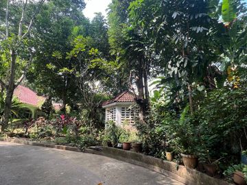 Prime Lot in La Vista Subdivision