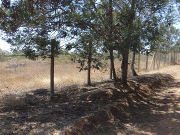 Vendo en Algarrobo estupenda parcela
