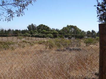 Vendo en Algarrobo estupenda parcela